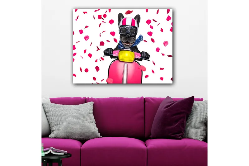 Canvastavla 70x100 cm - Glad fransk bulldogg som kör en rosa scooter med blommor som faller runtomkring - Rosa / Svart / Gul - Inredning & dekor - Tavlor & konst - Canvastavla
