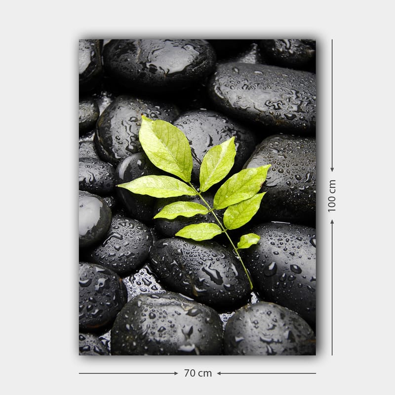 Canvastavla 70x100 cm - Grön kvist som växer fram ur en samling svarta stenar - Svart / Grön - Inredning & dekor - Tavlor & konst - Canvastavla