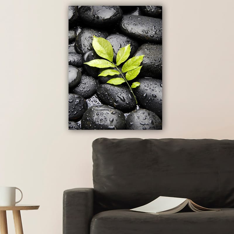 Canvastavla 70x100 cm - Grön kvist som växer fram ur en samling svarta stenar - Svart / Grön - Inredning & dekor - Tavlor & konst - Canvastavla
