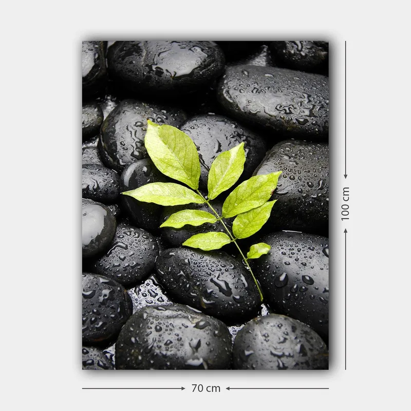 Canvastavla 70x100 cm - Grön kvist som växer fram ur en samling svarta stenar - Svart / Grön - Inredning & dekor - Tavlor & konst - Canvastavla