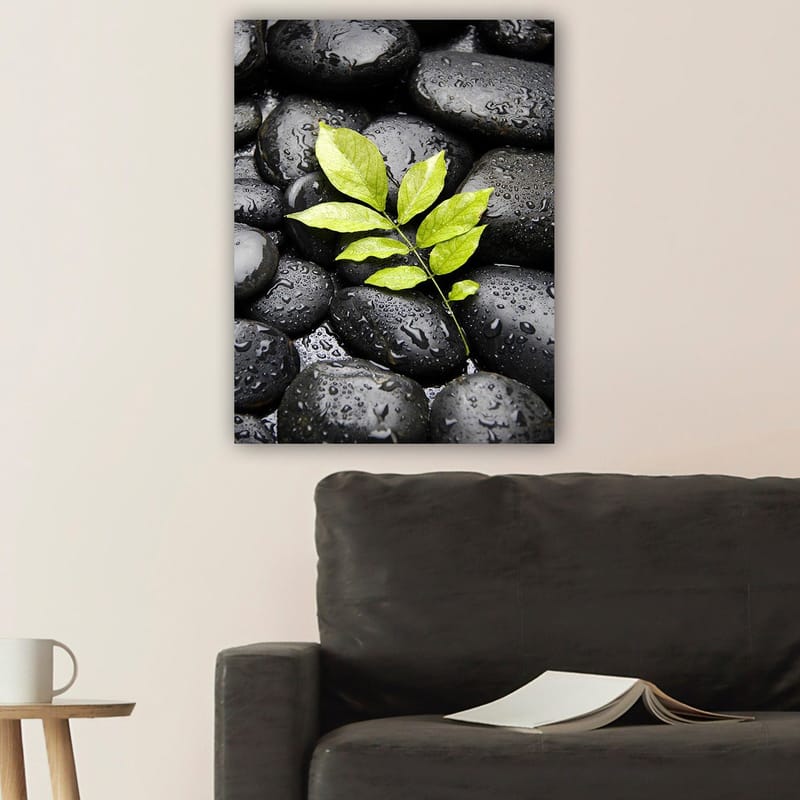 Canvastavla 70x100 cm - Grön kvist som växer fram ur en samling svarta stenar - Svart / Grön - Inredning & dekor - Tavlor & konst - Canvastavla