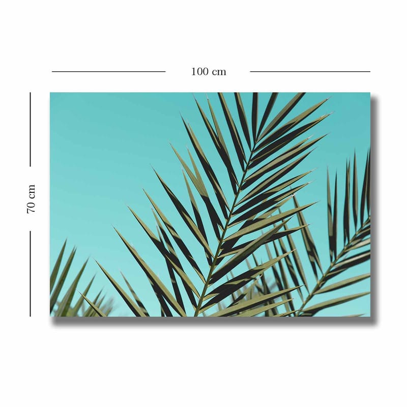 Canvastavla 70x100 cm - Grönskande palmblad mot en klar himmel - Turkos / Mörkgrön - Inredning & dekor - Tavlor & konst - Canvastavla