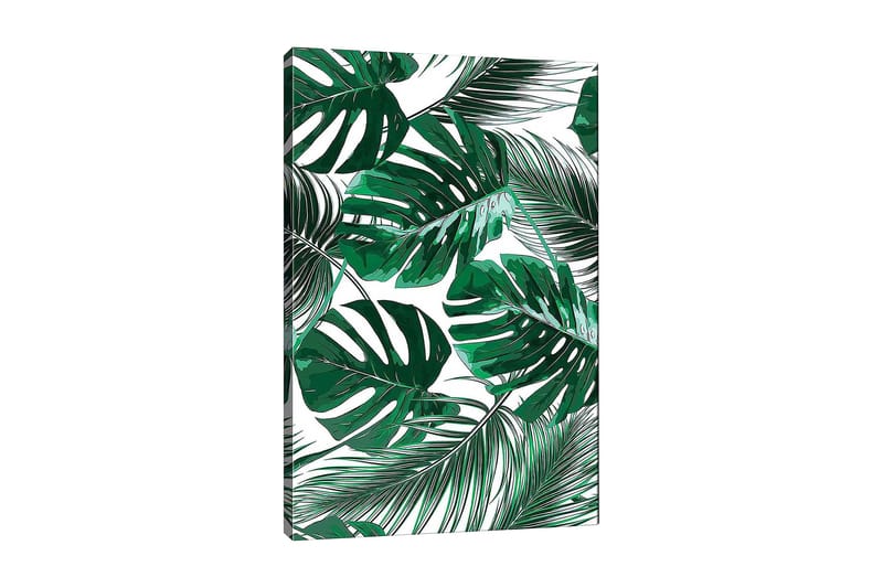Canvastavla 70x100 cm - Grönskande palmblad i olika former och storlekar, Mörkgrön / Ljusgrön