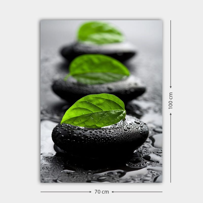 Canvastavla 70x100 cm - Harmonisk komposition av svarta stenar med gröna blad som symboliserar lugn och balans - Svart / Grön - Inredning & dekor - Tavlor & konst - Canvastavla