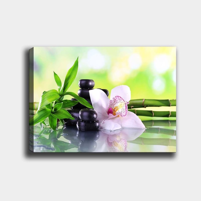 Canvastavla 70x100 cm - Harmonisk komposition med svarta stenar, en vit orkidé och gröna bambuskott, Svart / Grön / Vit