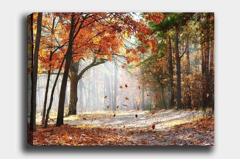 Canvastavla 70x100 cm - Höstskogslandskap med fallande löv i varma färger, Orange / Brun / Grön