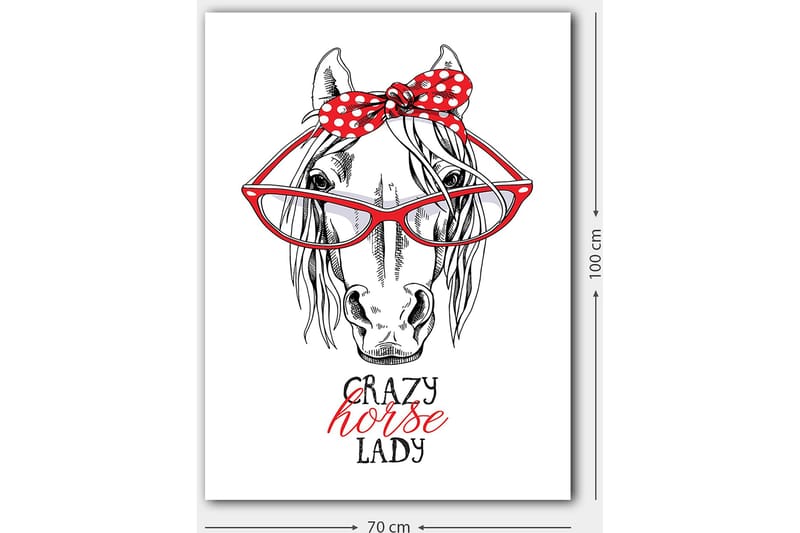 Canvastavla 70x100 cm - Humoristisk illustration av ett hähuvud med stora glasögon och en röd prickig rosett - Röd / Svart / Vit - Inredning & dekor - Tavlor & konst - Canvastavla