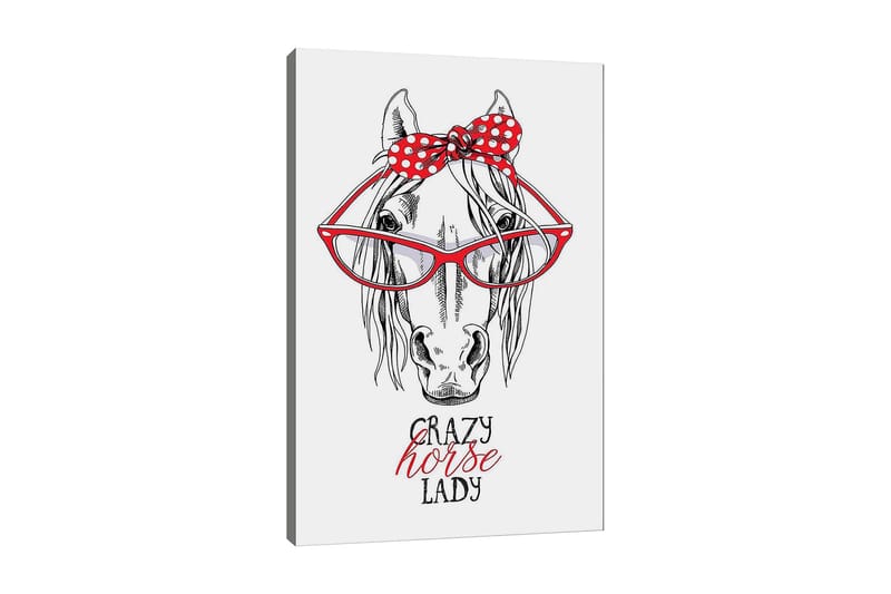 Canvastavla 70x100 cm - Humoristisk illustration av ett hähuvud med stora glasögon och en röd prickig rosett - Röd / Svart / Vit - Inredning & dekor - Tavlor & konst - Canvastavla