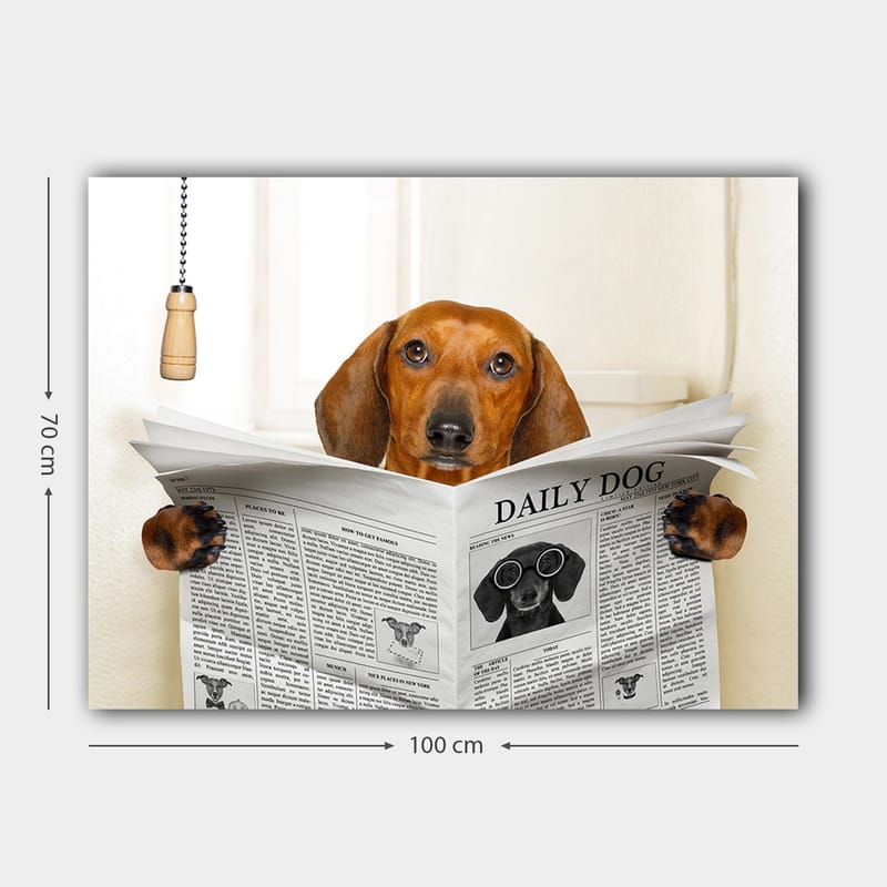 Canvastavla 70x100 cm - Hund som läser tidningen Daily Dog med ett nyfiket uttryck - Brun / Svart - Inredning & dekor - Tavlor & konst - Canvastavla