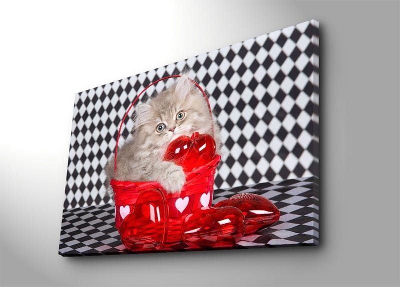 Canvastavla 70x100 cm - Kattunge som sitter i en röd korg fylld med hjärtformade dekorationer - Röd / Grå - Inredning & dekor - Tavlor & konst - Canvastavla
