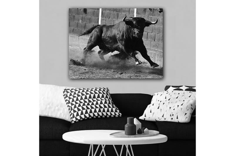 Canvastavla 70x100 cm - Kraftfull tjur i rörelse, fångad i ett ögonblick av intensitet och styrka - Svart / Grått - Inredning & dekor - Tavlor & konst - Canvastavla
