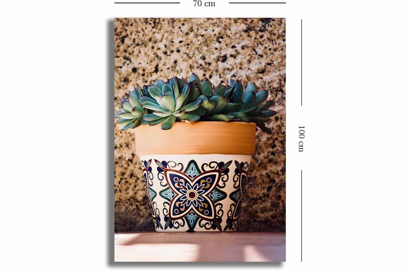 Canvastavla 70x100 cm - Kruka med succulenter i en dekorativ design - Grön / Terrakotta / Svart - Inredning & dekor - Tavlor & konst - Canvastavla