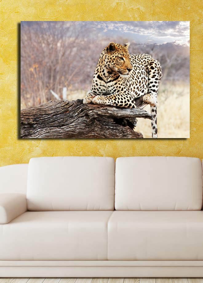 Canvastavla 70x100 cm - Leopard som vilar på en trästam i en naturlig miljö - Guld / Svart / Brun - Inredning & dekor - Tavlor & konst - Canvastavla