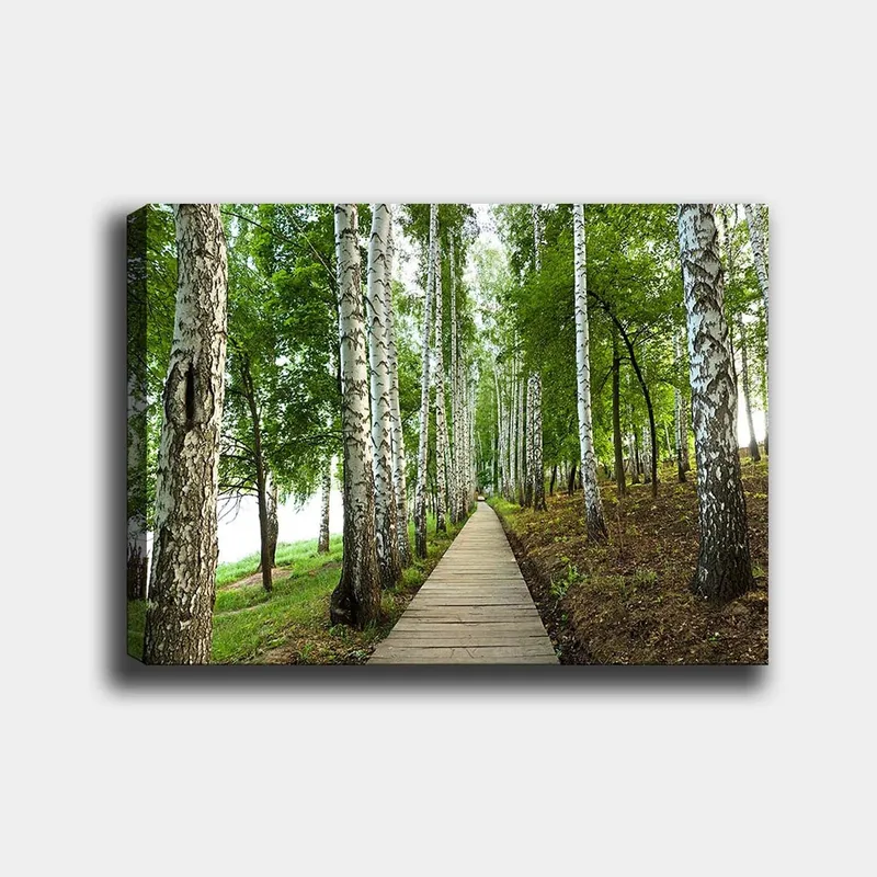 Canvastavla 70x100 cm - Lugn skogsväg omgiven av björkar och grönskande vegetation, Grön / Vit / Brun