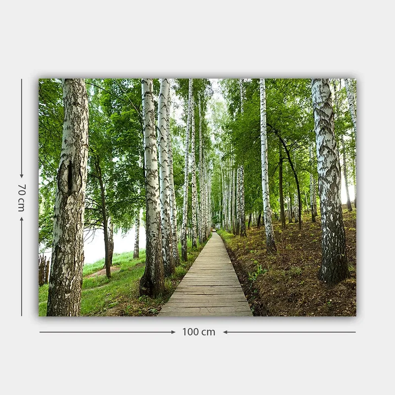 Canvastavla 70x100 cm - Lugn skogsväg omgiven av björkar och grönskande vegetation - Grön / Vit / Brun - Inredning & dekor - Tavlor & konst - Canvastavla