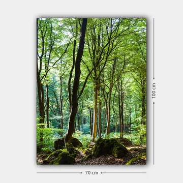 Canvastavla 70x100 cm - Lummig skog med höga träd och grönskande vegetation - Grön / Brun - Inredning & dekor - Tavlor & konst - Canvastavla