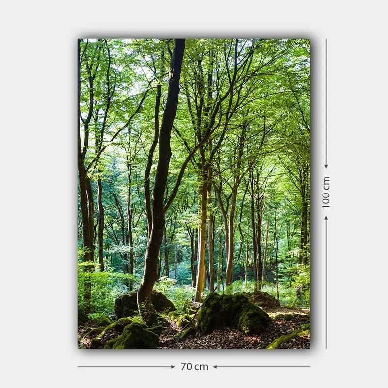 Canvastavla 70x100 cm - Lummig skog med höga träd och grönskande vegetation - Grön / Brun - Inredning & dekor - Tavlor & konst - Canvastavla