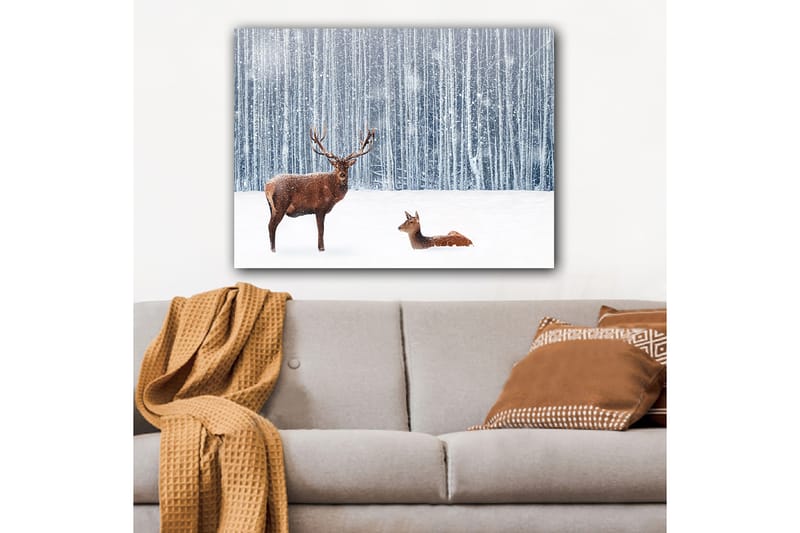 Canvastavla 70x100 cm - Majestätisk älg och en rådjur i en snöig skogsmiljö - Brun / Vit / Grå - Inredning & dekor - Tavlor & konst - Canvastavla