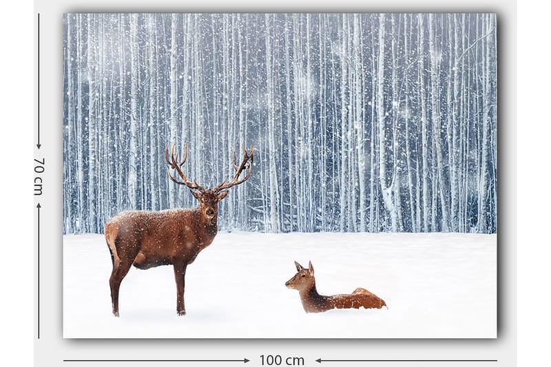 Canvastavla 70x100 cm - Majestätisk älg och en rådjur i en snöig skogsmiljö - Brun / Vit / Grå - Inredning & dekor - Tavlor & konst - Canvastavla