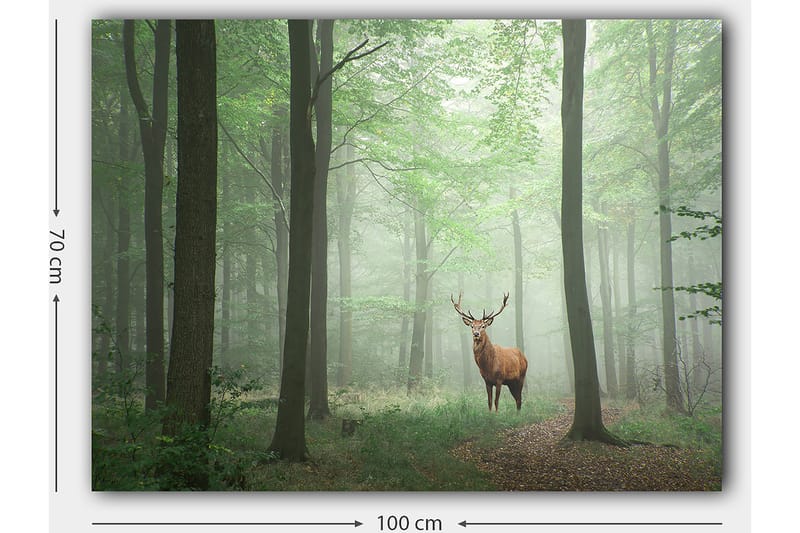Canvastavla 70x100 cm - Majestätisk älg står stolt i en dimmig skog omgiven av gröna träd - Grön / Brun / Grå - Inredning & dekor - Tavlor & konst - Canvastavla
