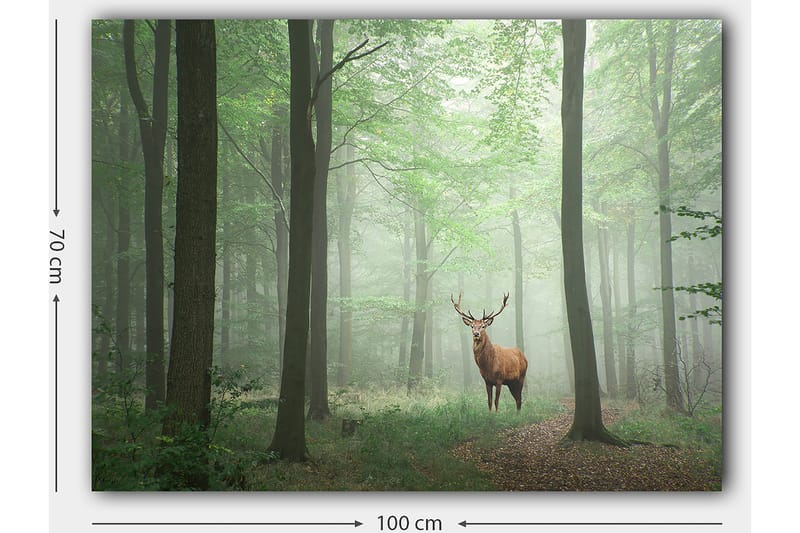 Canvastavla 70x100 cm - Majestätisk älg står stolt i en dimmig skog omgiven av gröna träd - Grön / Brun / Grå - Inredning & dekor - Tavlor & konst - Canvastavla