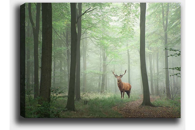 Canvastavla 70x100 cm - Majestätisk älg står stolt i en dimmig skog omgiven av gröna träd - Grön / Brun / Grå - Inredning & dekor - Tavlor & konst - Canvastavla