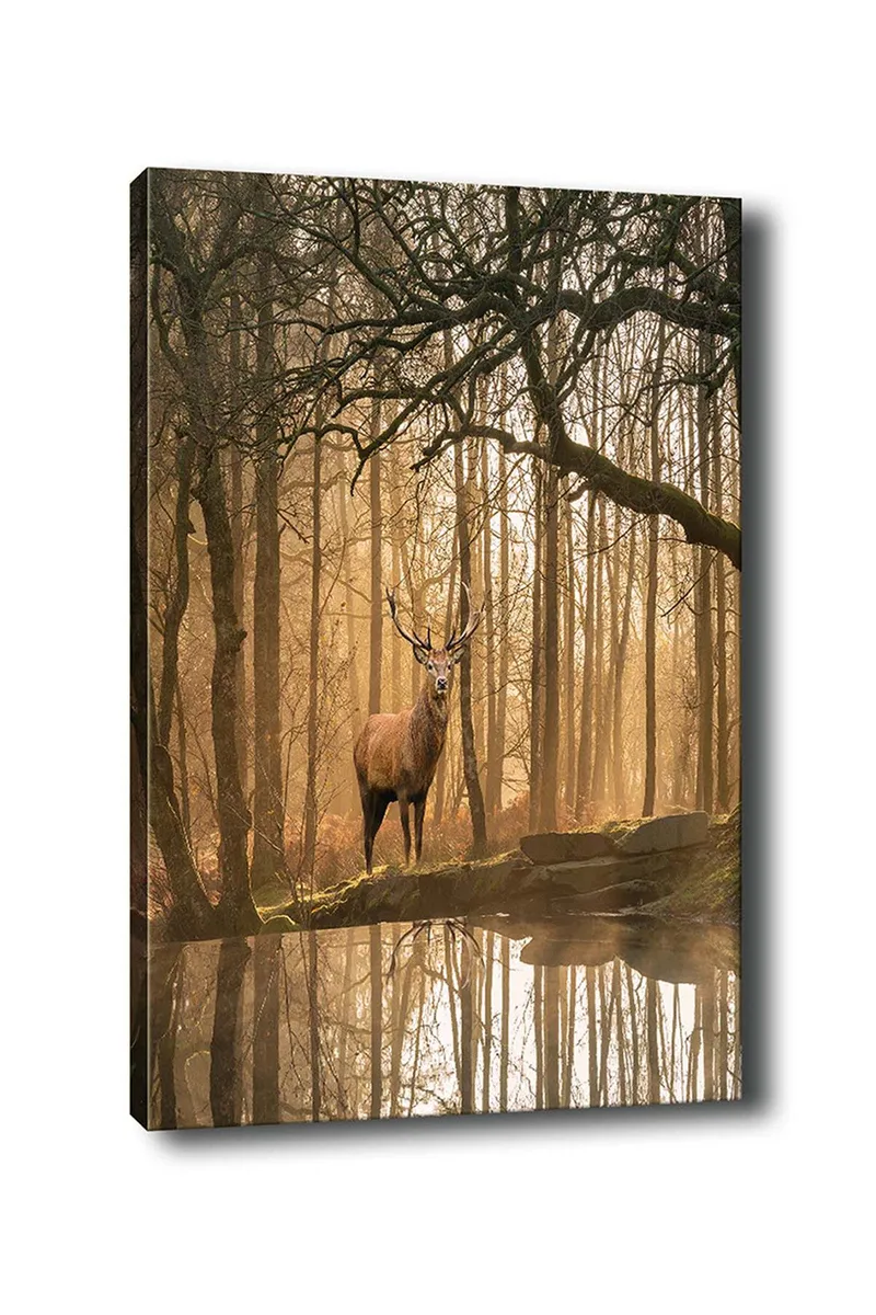 Canvastavla 70x100 cm - Majestätisk älg står vid en spegelblanka sjö omgiven av dimmiga skogar, Brun / Guld / Grön