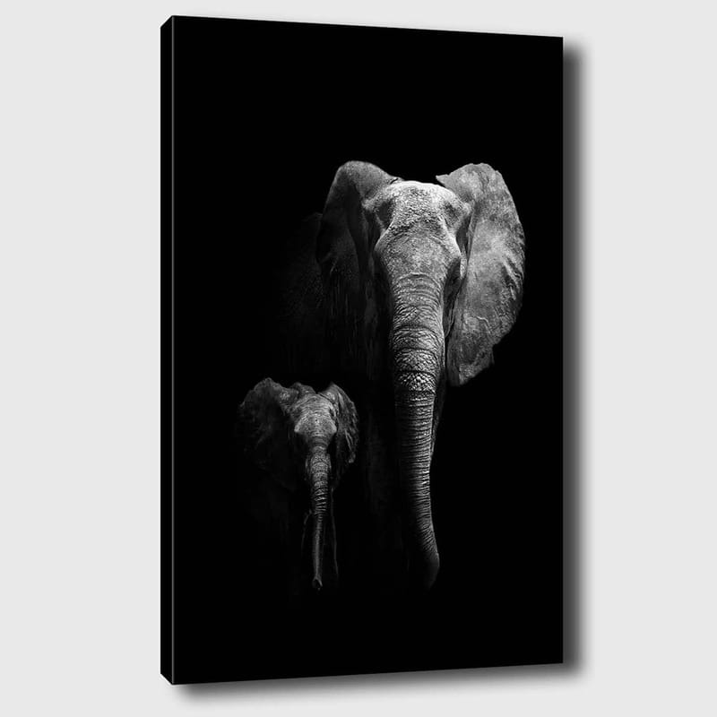 Canvastavla 70x100 cm - Majestätisk elefant och en kalv som framhäver deras relation i en dramatisk svartvit komposition - Svart / Grå - Inredning & dekor - Tavlor & konst - Canvastavla