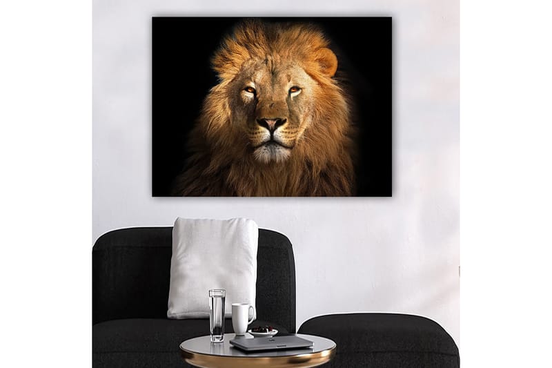 Canvastavla 70x100 cm - Majestätisk lejonhuvud med intensiv blick - Guld / Brun / Svart - Inredning & dekor - Tavlor & konst - Canvastavla