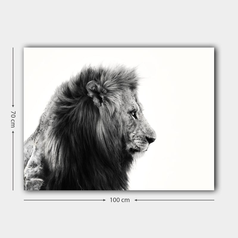 Canvastavla 70x100 cm - Majestätisk lejonprofil i svartvitt som utstrålar styrka och elegans - Svart / Vit - Inredning & dekor - Tavlor & konst - Canvastavla