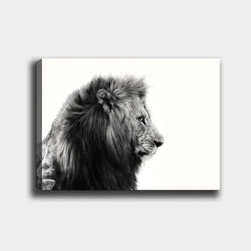 Canvastavla 70x100 cm - Majestätisk lejonprofil i svartvitt som utstrålar styrka och elegans - Svart / Vit - Inredning & dekor - Tavlor & konst - Canvastavla