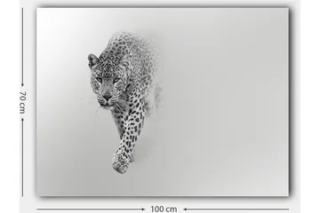 Canvastavla 70x100 cm - Majestätisk leopard som rör sig framåt i en stilren och minimalistisk komposition - Svart / Grå - Inredning & dekor - Tavlor & konst - Canvastavla