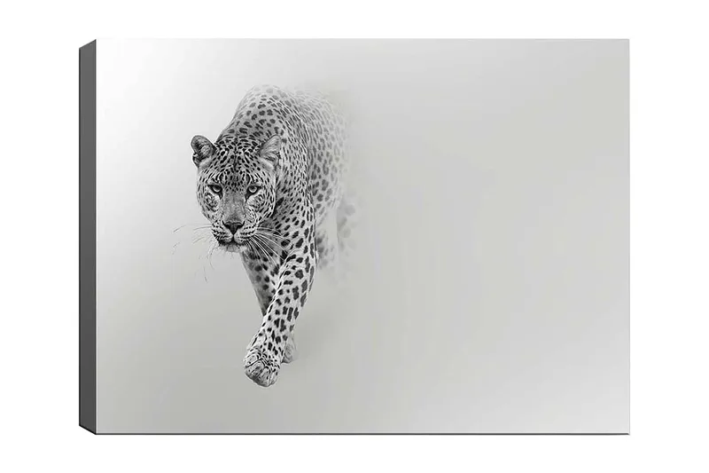 Canvastavla 70x100 cm - Majestätisk leopard som rör sig framåt i en stilren och minimalistisk komposition, Svart / Grå
