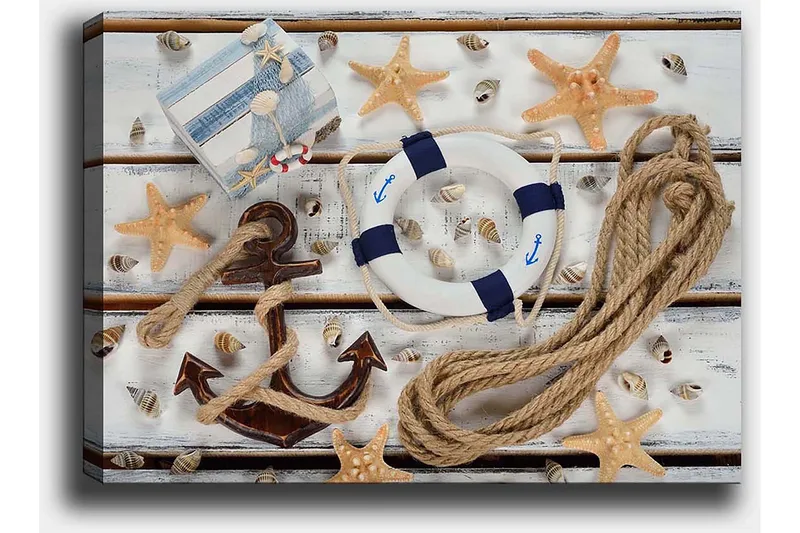 Canvastavla 70x100 cm - Maritimt stilleben med snäckor, stjärnformade sjöstjärnor och en livboj - Beige / Blå / Brun - Inredning & dekor - Tavlor & konst - Canvastavla