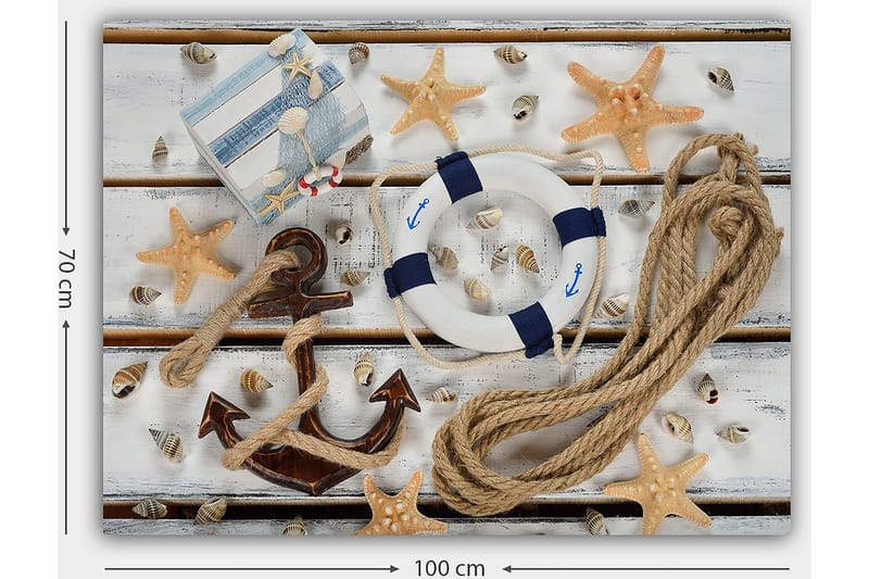 Canvastavla 70x100 cm - Maritimt stilleben med snäckor, stjärnformade sjöstjärnor och en livboj - Beige / Blå / Brun - Inredning & dekor - Tavlor & konst - Canvastavla