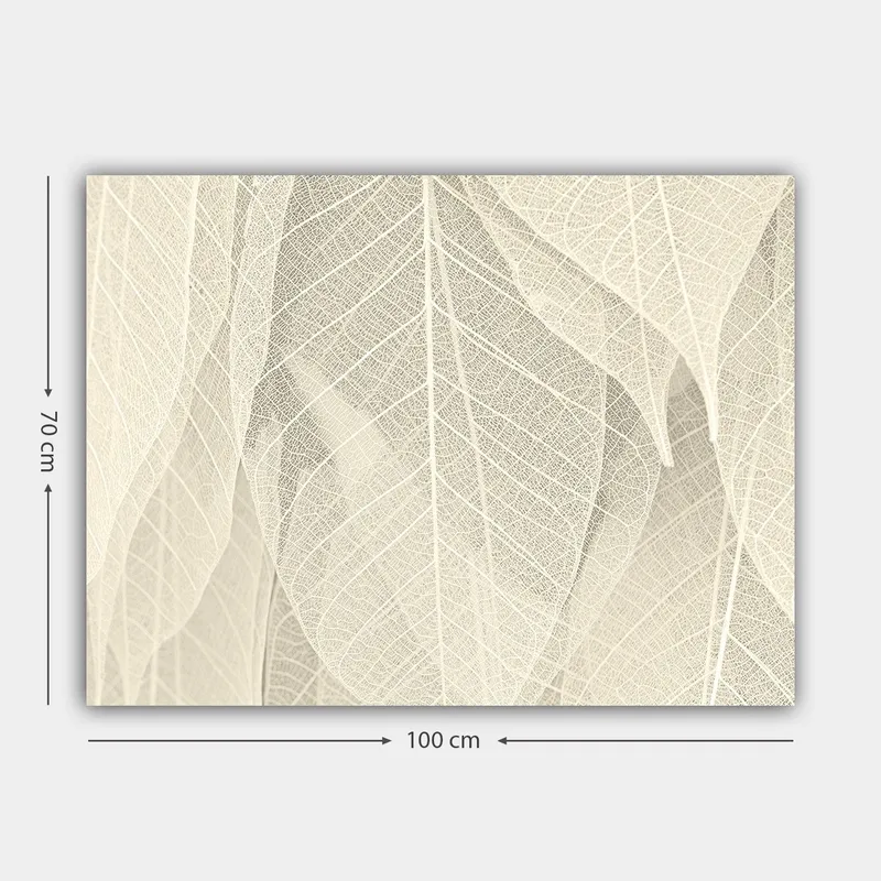 Canvastavla 70x100 cm - Mjuk och subtil komposition av genomskinliga löv som skapar en känsla av lugn och harmoni - Ljusbeige / Vit - Inredning & dekor - Tavlor & konst - Canvastavla