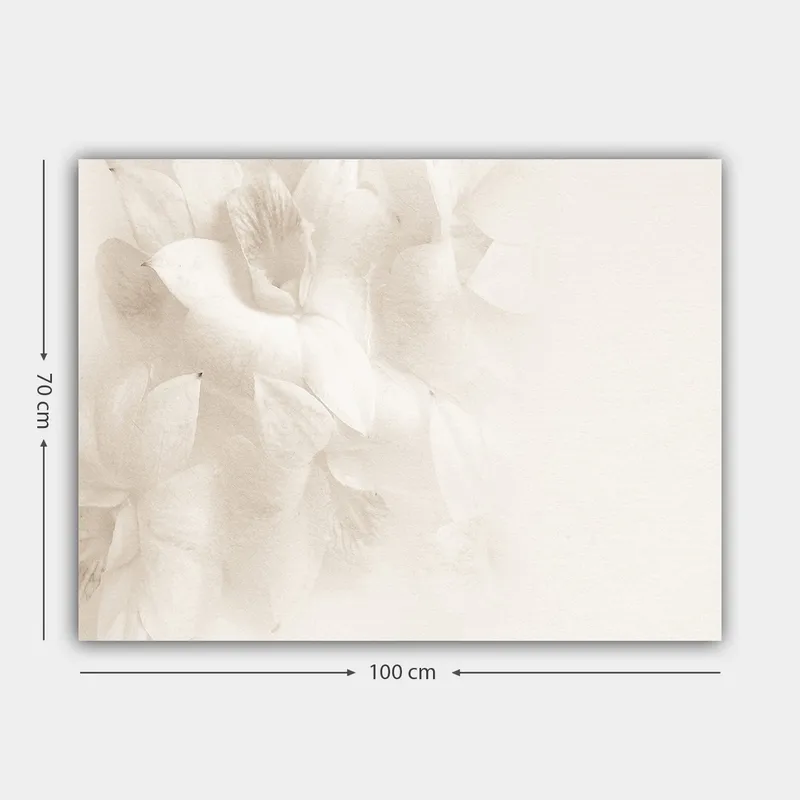 Canvastavla 70x100 cm - Mjuka blommor i subtila nyanser av vitt - Vit / Ljusbeige - Inredning & dekor - Tavlor & konst - Canvastavla