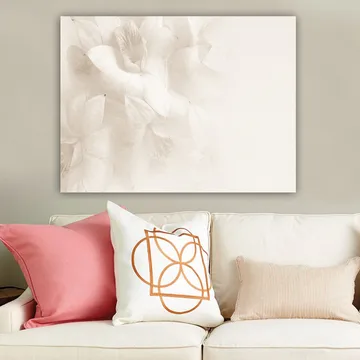 Canvastavla 70x100 cm - Mjuka blommor i subtila nyanser av vitt - Vit / Ljusbeige - Inredning & dekor - Tavlor & konst - Canvastavla