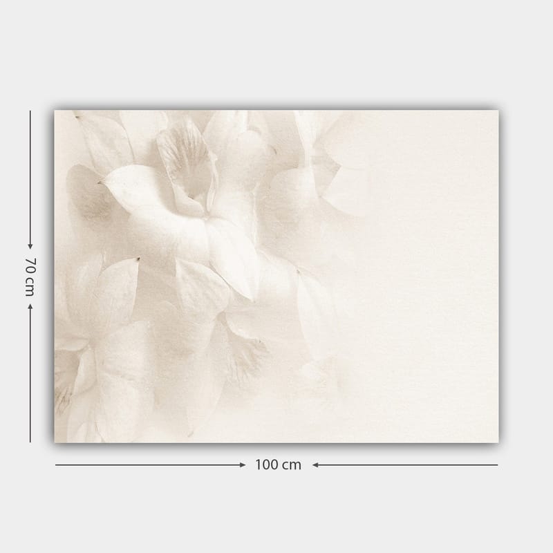 Canvastavla 70x100 cm - Mjuka blommor i subtila nyanser av vitt - Vit / Ljusbeige - Inredning & dekor - Tavlor & konst - Canvastavla