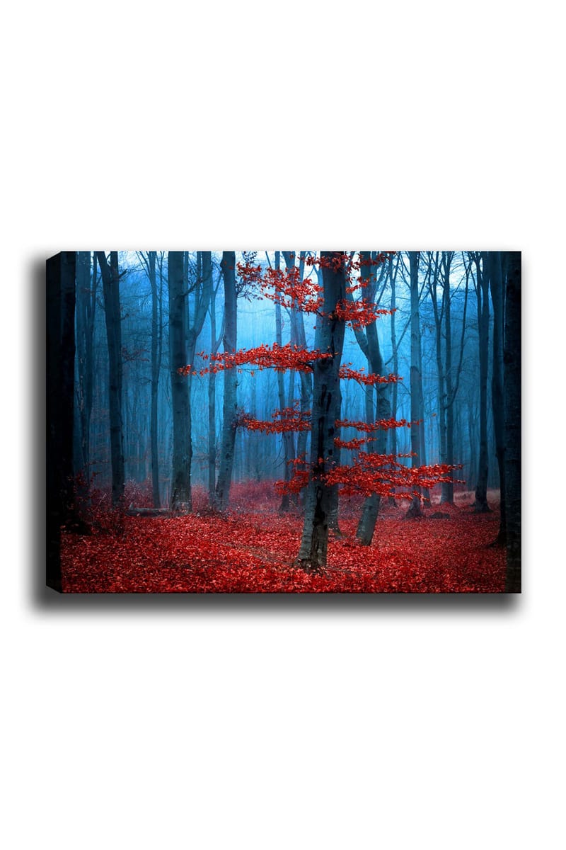 Canvastavla 70x100 cm - Mystisk skog med ett ensamt rött träd i en dimmig omgivning - Röd / Blå - Inredning & dekor - Tavlor & konst - Canvastavla