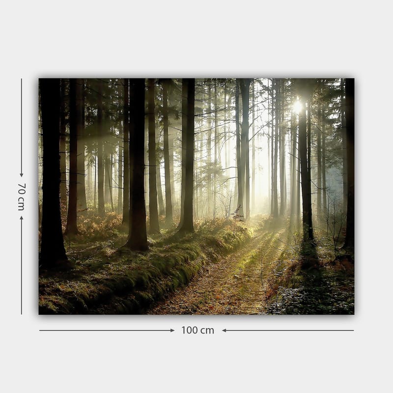 Canvastavla 70x100 cm - Mystisk skog med solstrålar som bryter genom träden - Mörkgrön / Ljusgrön / Brun - Inredning & dekor - Tavlor & konst - Canvastavla