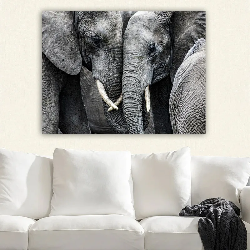 Canvastavla 70x100 cm - Närbild av elefanter som visar deras ansikten och betar i en intim sammanslutning - Grå / Vit - Inredning & dekor - Tavlor & konst - Canvastavla
