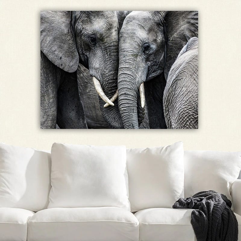 Canvastavla 70x100 cm - Närbild av elefanter som visar deras ansikten och betar i en intim sammanslutning - Grå / Vit - Inredning & dekor - Tavlor & konst - Canvastavla