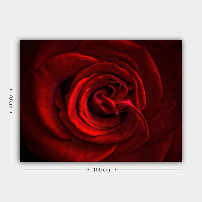Canvastavla 70x100 cm - Närbild av en vacker röd ros med detaljerade kronblad - Röd / Mörkröd - Inredning & dekor - Tavlor & konst - Canvastavla