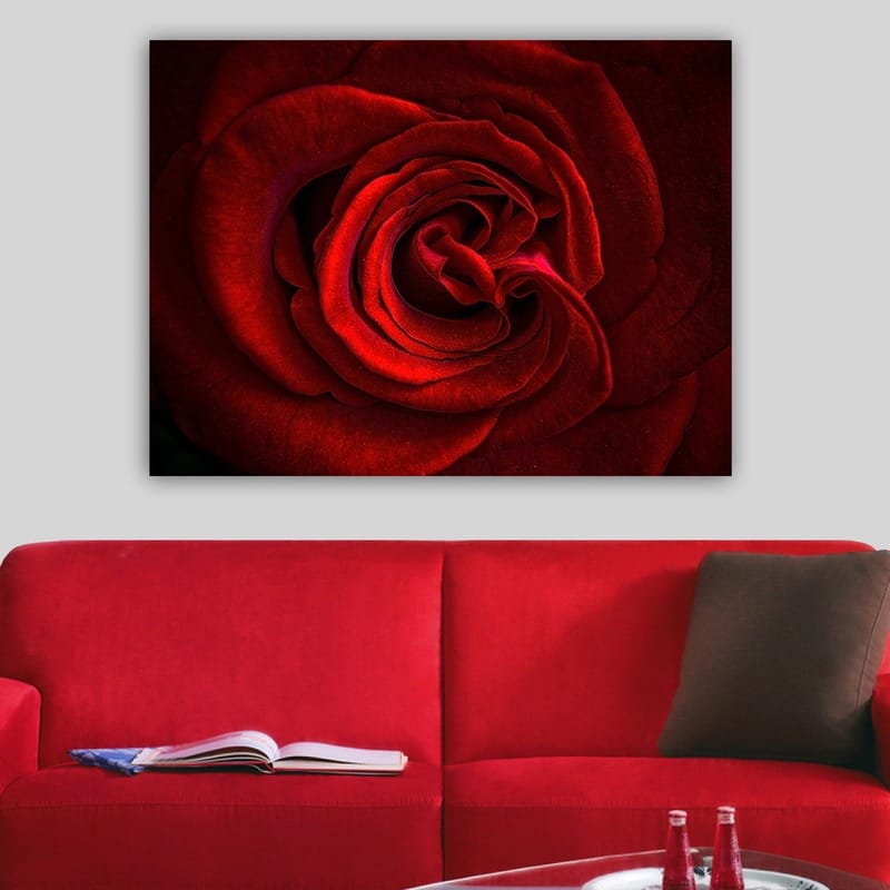 Canvastavla 70x100 cm - Närbild av en vacker röd ros med detaljerade kronblad - Röd / Mörkröd - Inredning & dekor - Tavlor & konst - Canvastavla