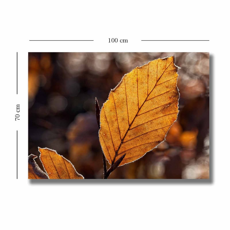 Canvastavla 70x100 cm - Närbild av ett gyllene höstlöv med detaljerade ådringar - Guldorange / Brun - Inredning & dekor - Tavlor & konst - Canvastavla