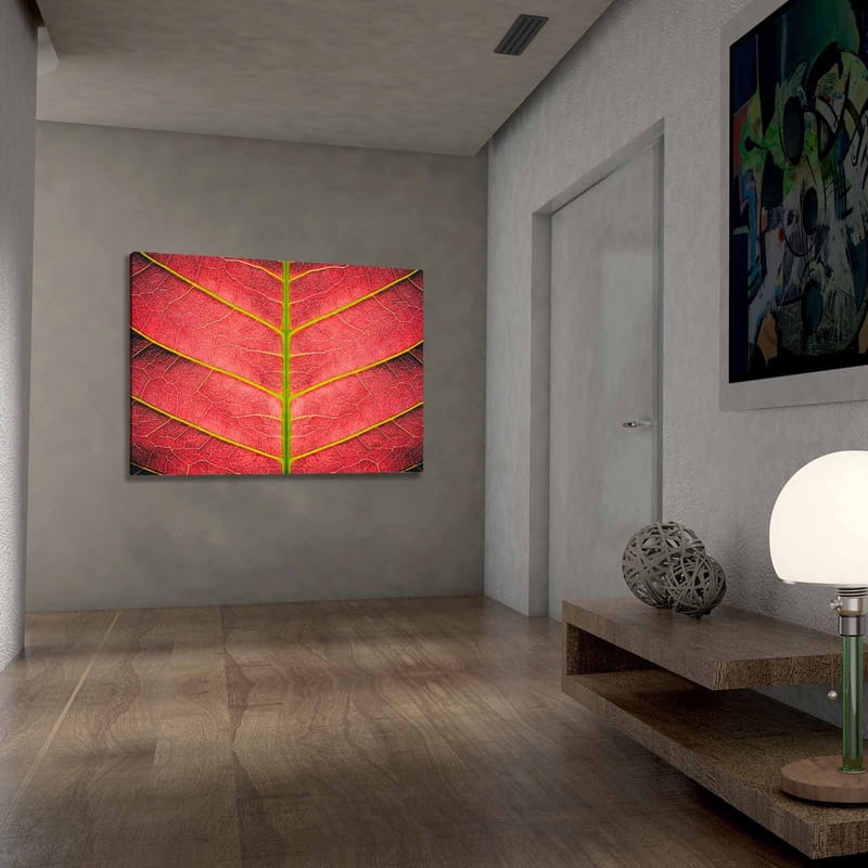 Canvastavla 70x100 cm - Närbild av ett rödaktigt blad med detaljerade ådror - Röd / Grön - Inredning & dekor - Tavlor & konst - Canvastavla