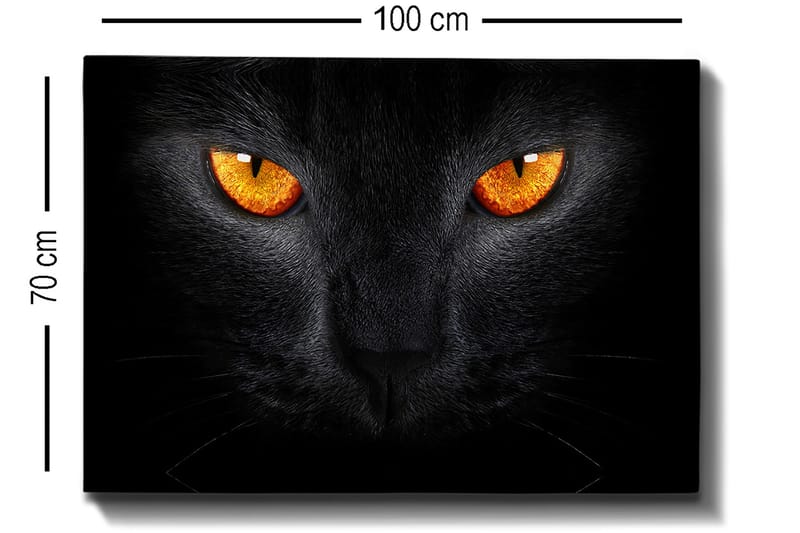 Canvastavla 70x100 cm - Närbild av ett svart katthuvud med intensiva ögon - Svart / Orange - Inredning & dekor - Tavlor & konst - Canvastavla