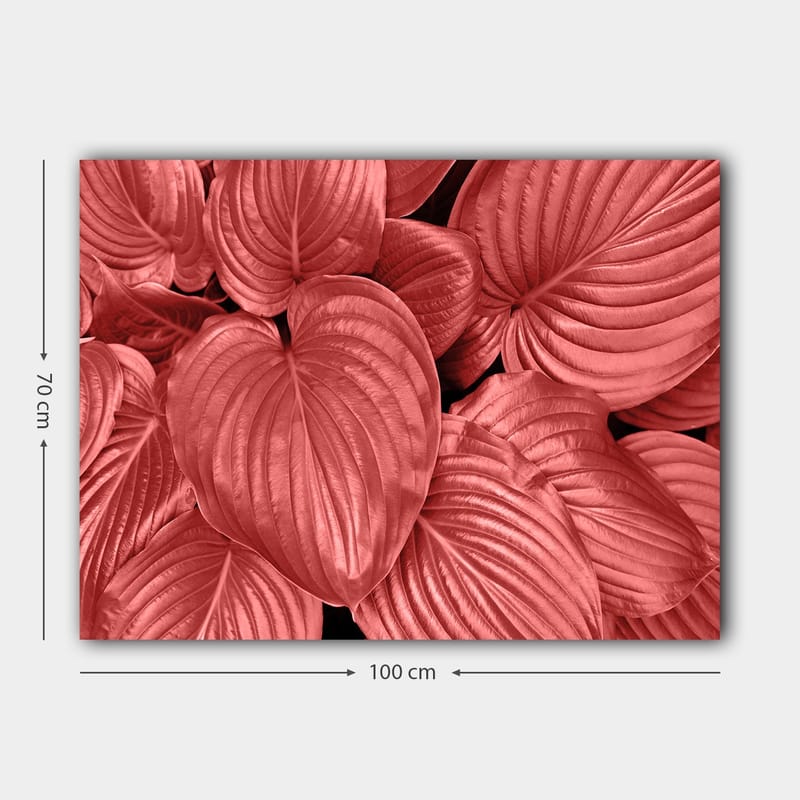 Canvastavla 70x100 cm - Närbild av stiliga, röda blad med tydliga ådringar - Röd / Svart - Inredning & dekor - Tavlor & konst - Canvastavla