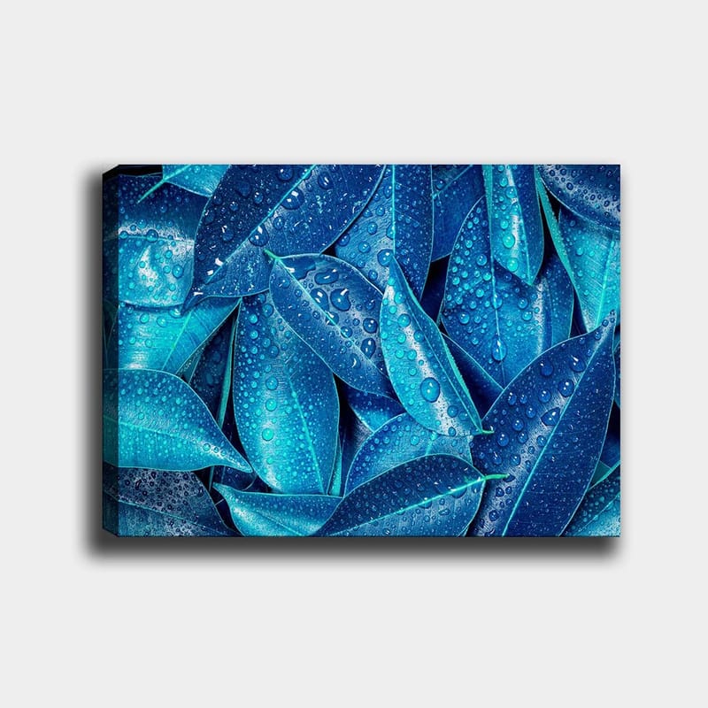 Canvastavla 70x100 cm - Närbild av vattendroppar på gröna blad som skapar en fräsch och livfull känsla - Blå / Turkos - Inredning & dekor - Tavlor & konst - Canvastavla